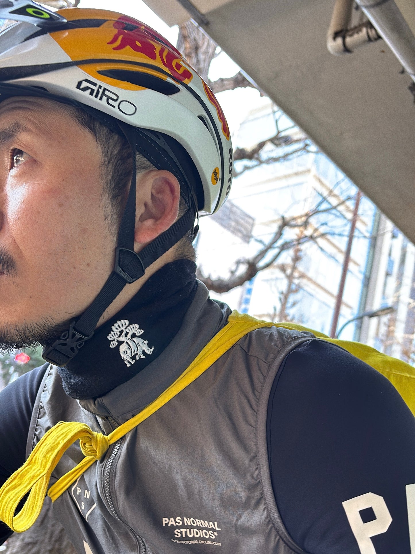 REAL BONSAI WINTER Collar