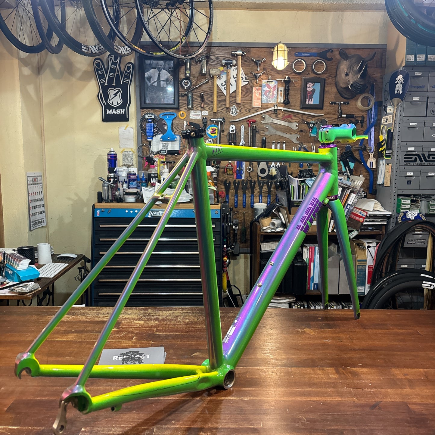 USED VYNLBIKE ROAD size53 GatorFade